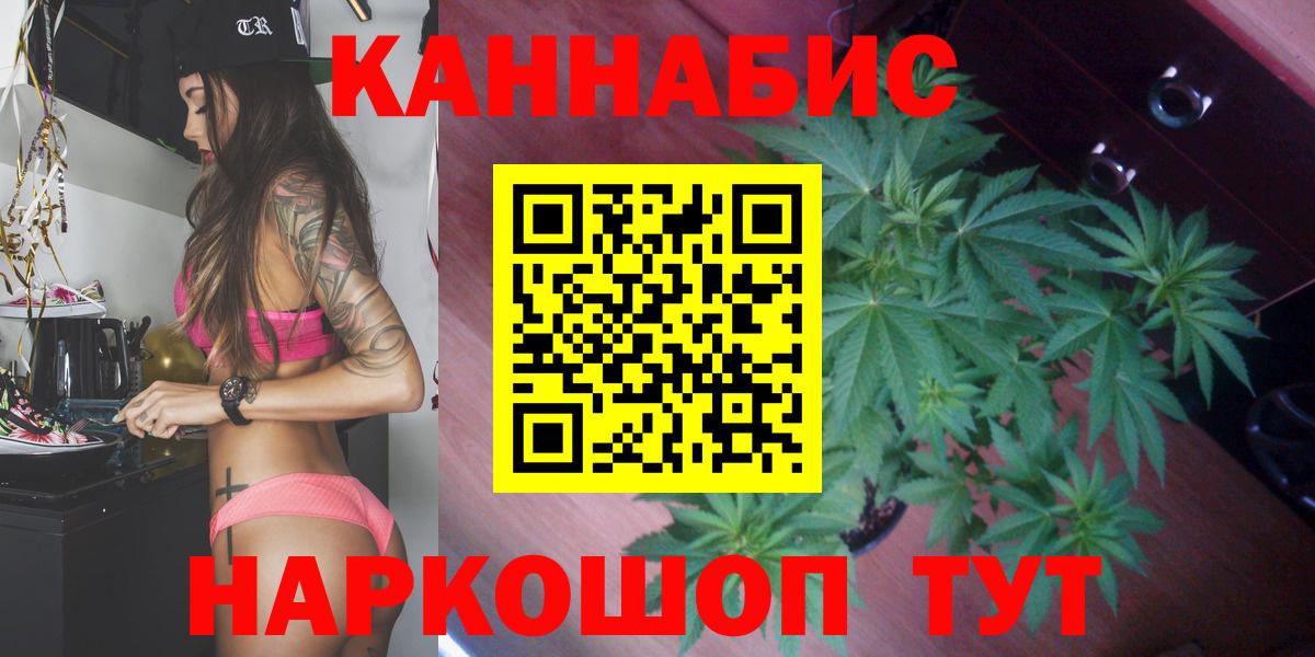 Бошки Шишки план  МАРИХУАНА сатива  Кирово-Чепецк  Вход с VPN  Бошки марихуана THC 21% 